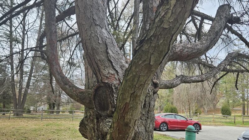 Reservoir Park - York, PA