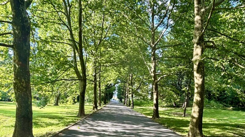Reservoir Park - York, PA