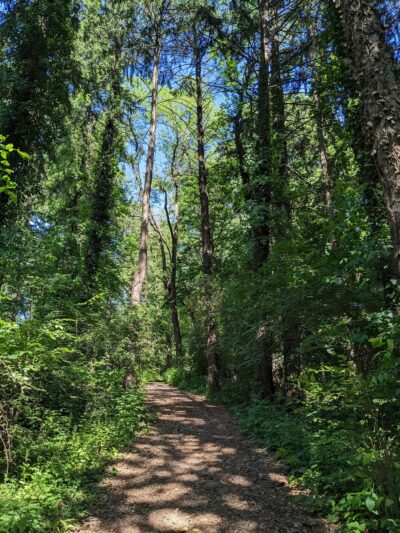 Reservoir Park - York, PA