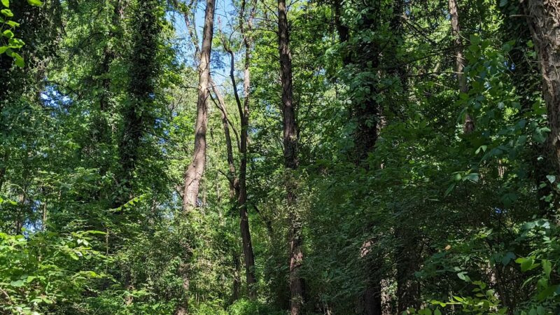Reservoir Park - York, PA