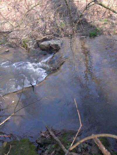 Richard M. Nixon County Park - York, PA