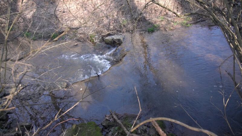 Richard M. Nixon County Park - York, PA