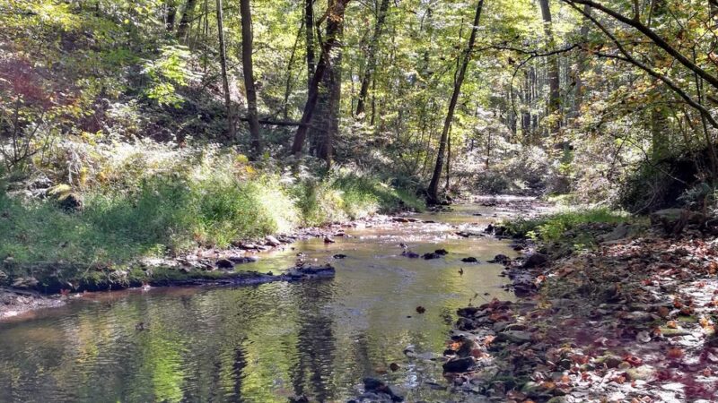 Richard M. Nixon County Park - York, PA