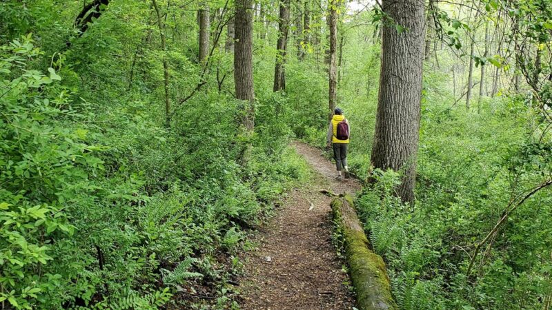 Richard M. Nixon County Park - York, PA
