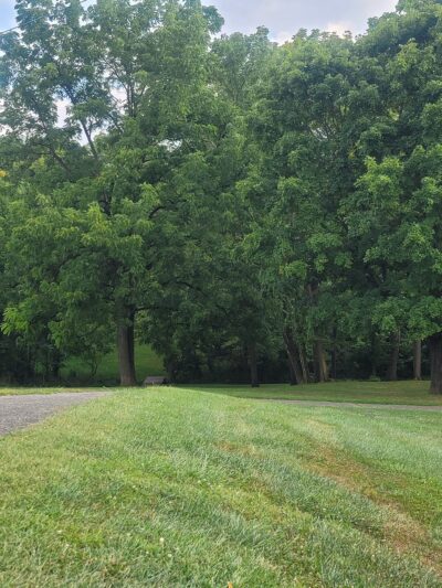 Snyder Park - York, PA