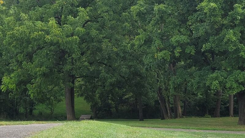 Snyder Park - York, PA