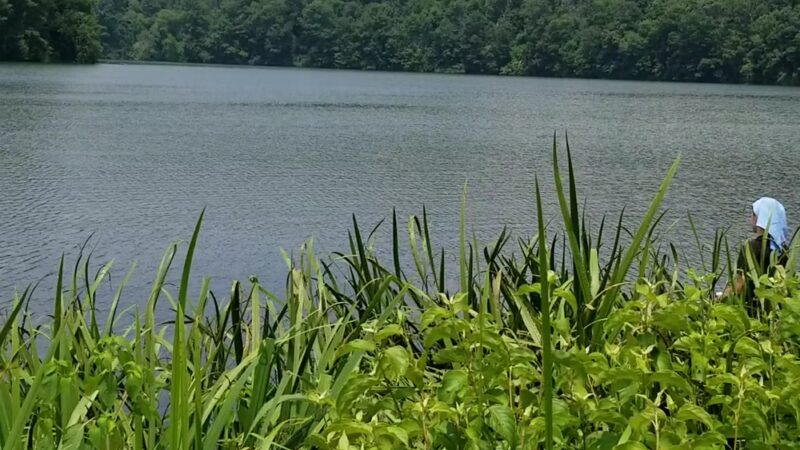William H. Kain County Park - York, PA