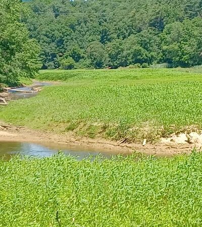 York Reservoir Trailhead - York, PA