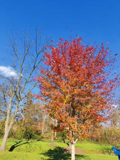 Greist Memorial Park - York Springs, PA