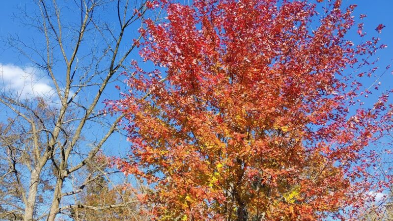 Greist Memorial Park - York Springs, PA