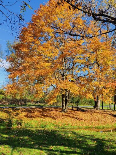 Greist Memorial Park - York Springs, PA