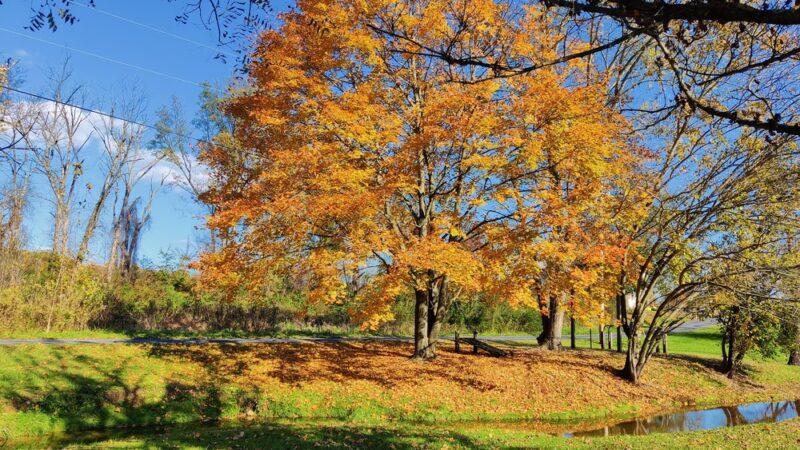 Greist Memorial Park - York Springs, PA