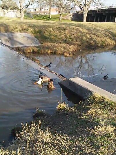 Yorktown City Park - Yorktown, TX