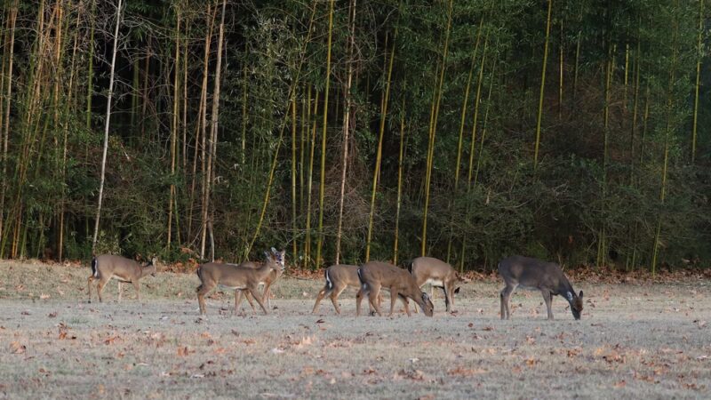 Yorktown Park - Yorktown, VA