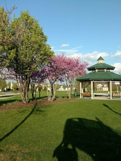Cannonball Ridge Park - Yorkville, IL