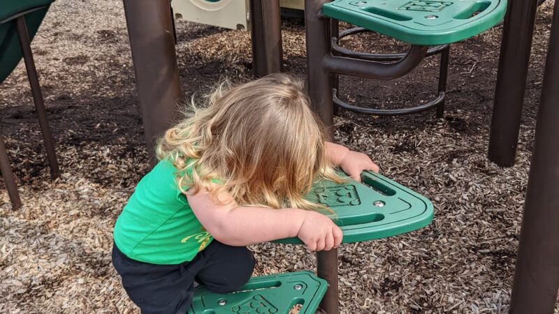 Cannonball Ridge Park - Yorkville, IL
