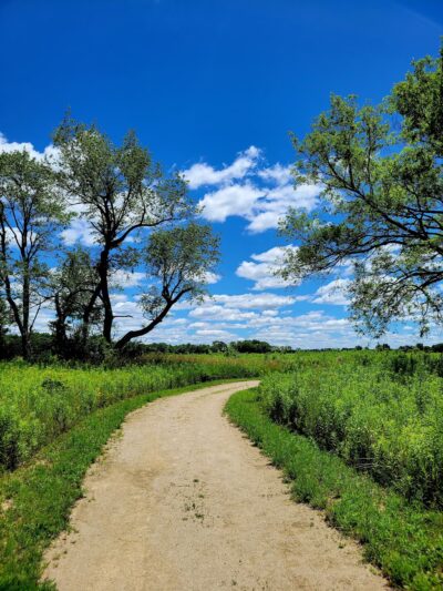 Fox River Bluffs Forest Preserve - Yorkville, IL