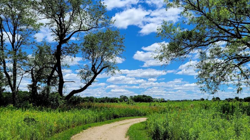 Fox River Bluffs Forest Preserve - Yorkville, IL