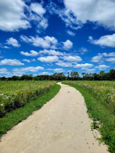 Fox River Bluffs Forest Preserve - Yorkville, IL