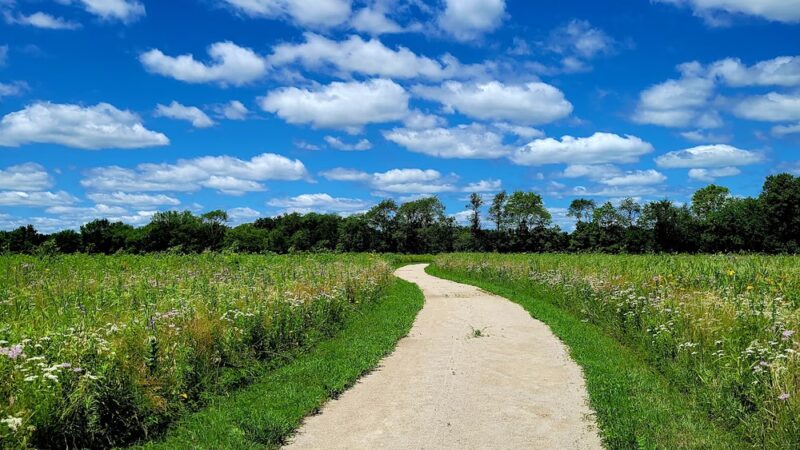 Fox River Bluffs Forest Preserve - Yorkville, IL