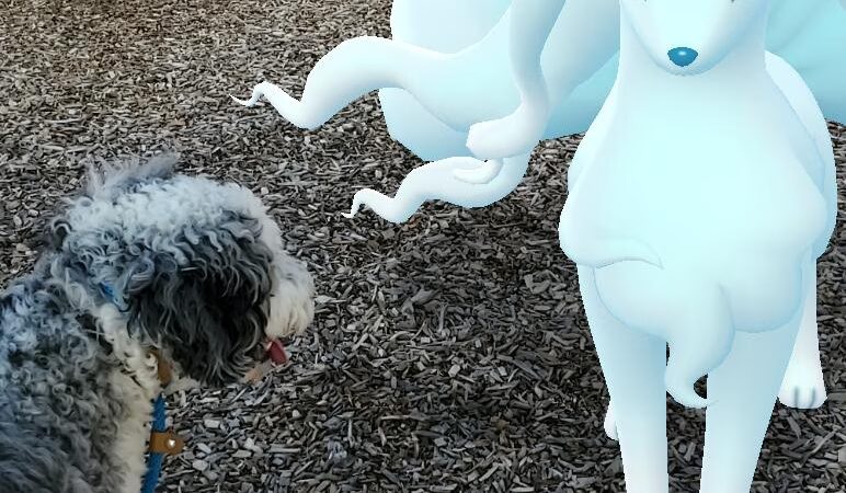 Hiding Spot Park - Yorkville, IL