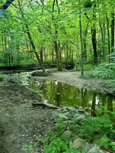Hoover Forest Preserve - Yorkville, IL