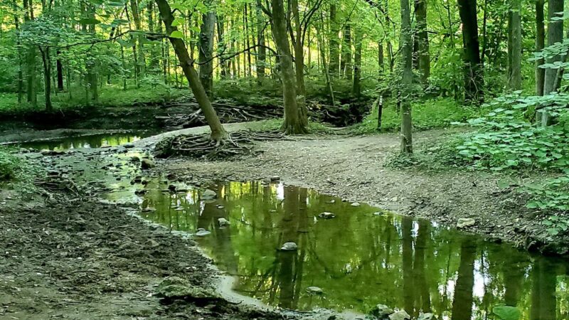 Hoover Forest Preserve - Yorkville, IL