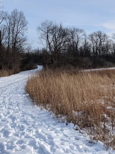 Hoover Forest Preserve - Yorkville, IL