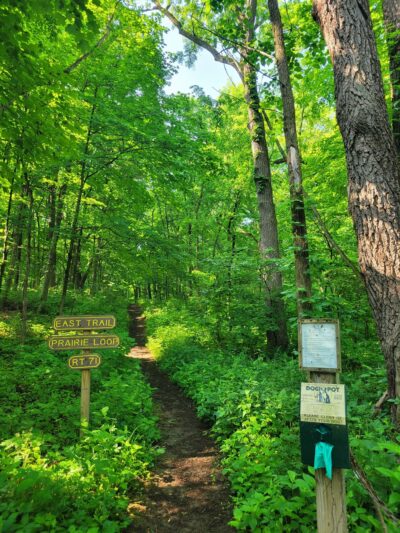 Lyon Forest Preserve - Yorkville, IL