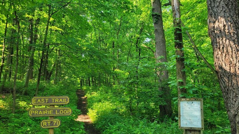 Lyon Forest Preserve - Yorkville, IL
