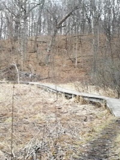 Lyon Forest Preserve - Yorkville, IL