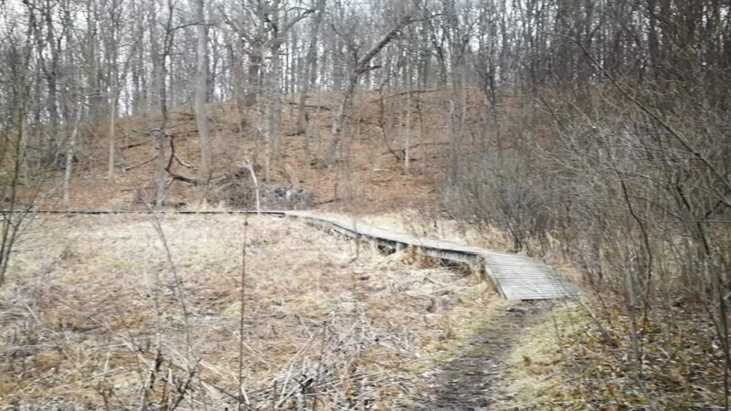 Lyon Forest Preserve - Yorkville, IL