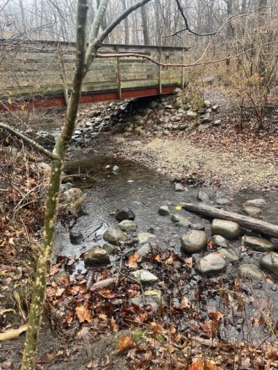Lyon Forest Preserve - Yorkville, IL