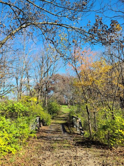 Lyon Forest Preserve - Yorkville, IL