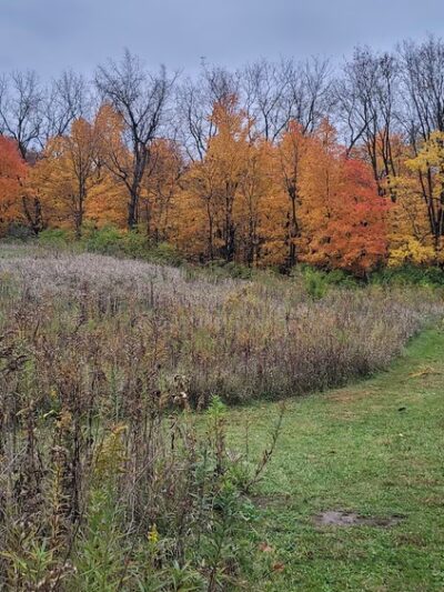 Pickerill-Pigott Forest Preserve - Yorkville, IL