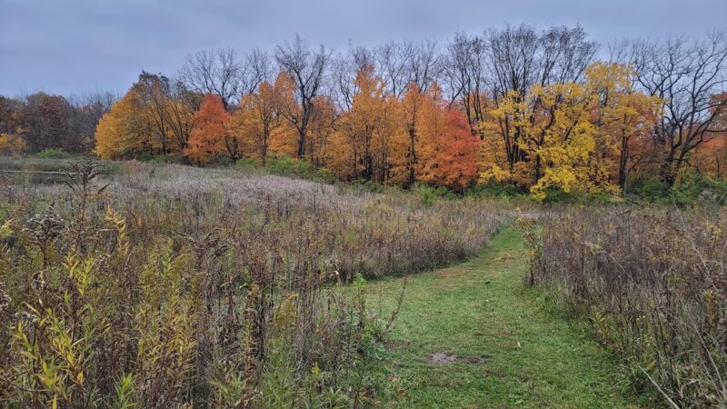 Pickerill-Pigott Forest Preserve - Yorkville, IL