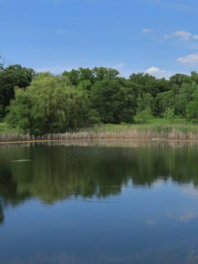 Pickerill-Pigott Forest Preserve - Yorkville, IL