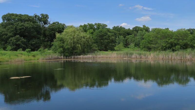 Pickerill-Pigott Forest Preserve - Yorkville, IL