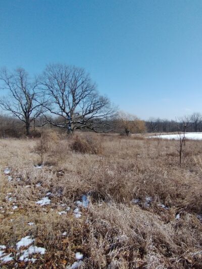 Pickerill-Pigott Forest Preserve - Yorkville, IL
