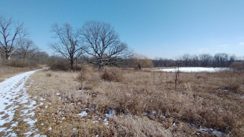 Pickerill-Pigott Forest Preserve - Yorkville, IL