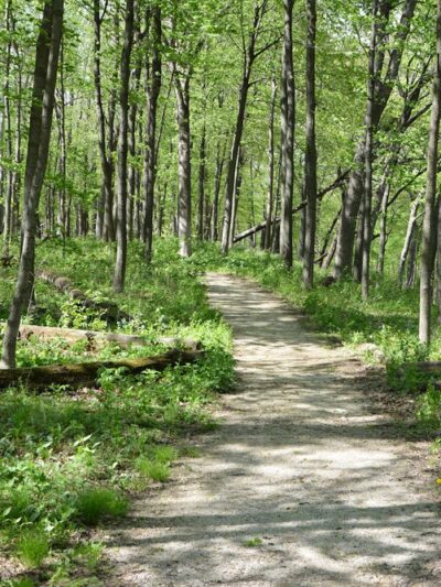 Richard Young Forest Preserve - Yorkville, IL