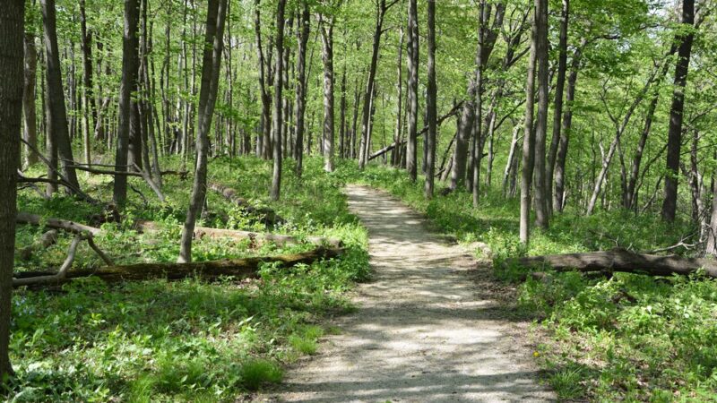 Richard Young Forest Preserve - Yorkville, IL