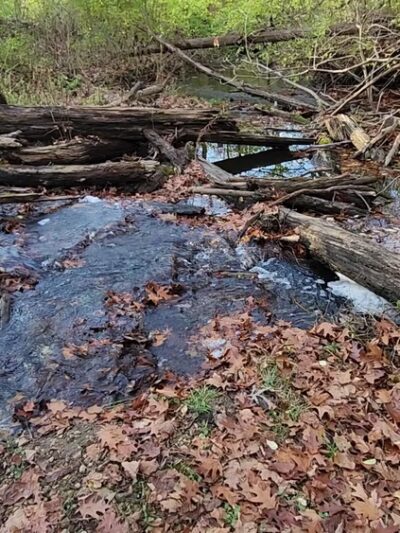 Richard Young Forest Preserve - Yorkville, IL