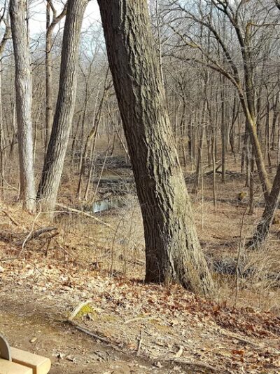 Richard Young Forest Preserve - Yorkville, IL