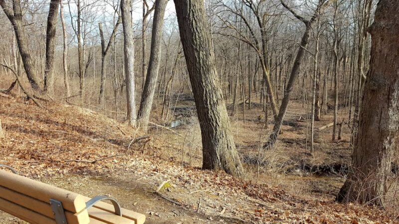 Richard Young Forest Preserve - Yorkville, IL