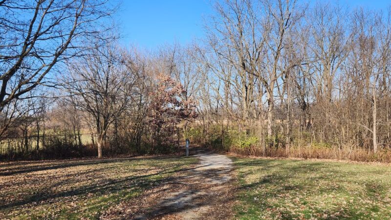 Richard Young Forest Preserve - Yorkville, IL