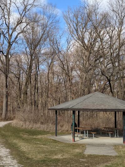 Richard Young Forest Preserve - Yorkville, IL