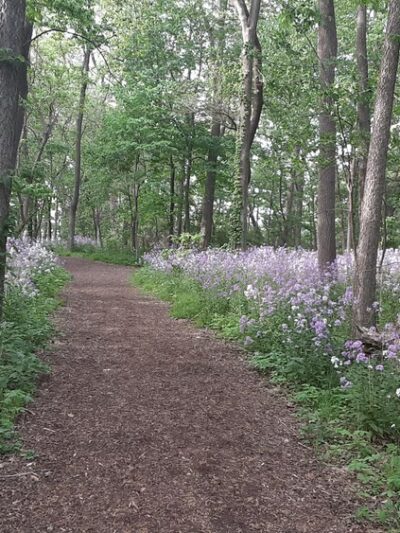 Ron Clark Park - Yorkville, IL