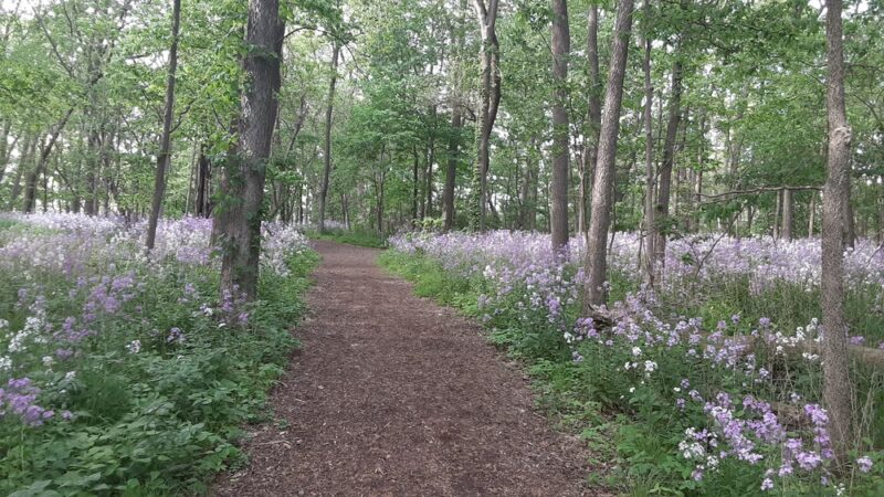 Ron Clark Park - Yorkville, IL