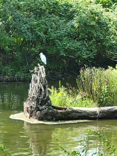 Ron Clark Park - Yorkville, IL